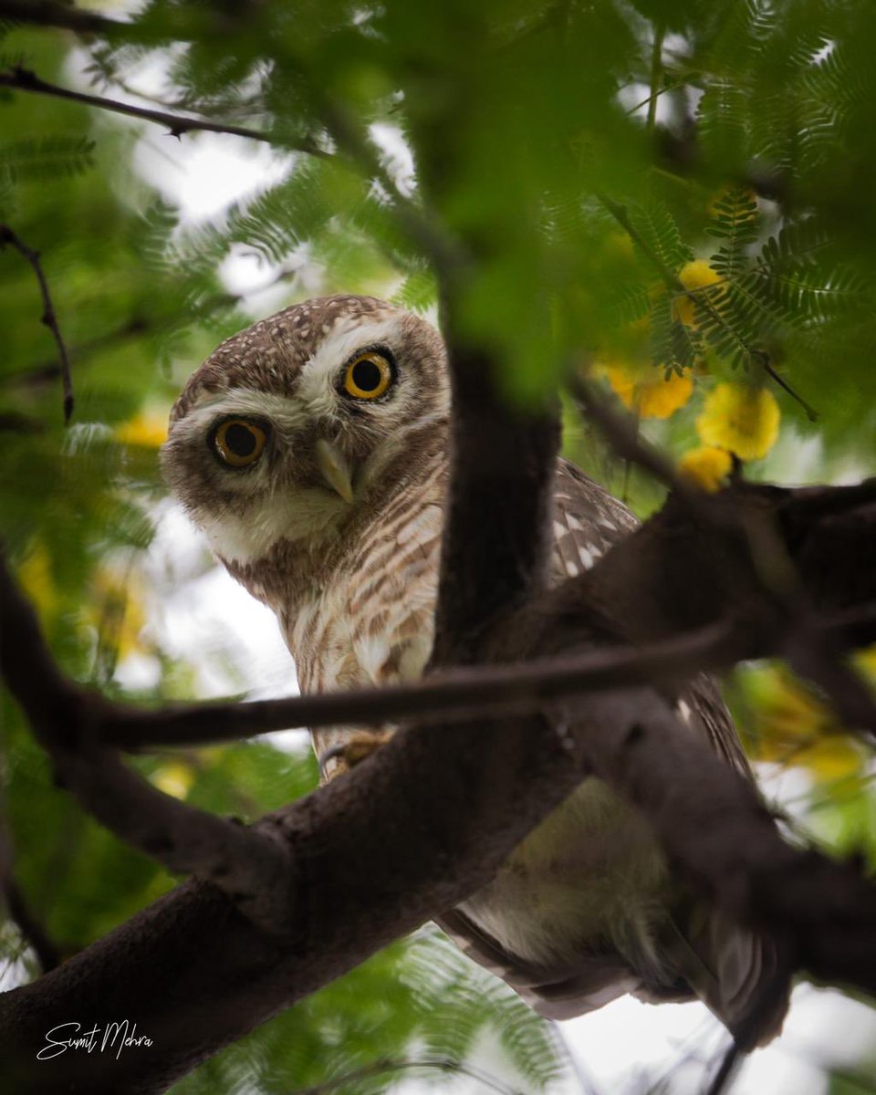 The four acts that are done with speech and that should never be indulged or even thought of, are evil conversation, harsh words, publishing other people’s faults and falsehood.

Suprabhatam 😊