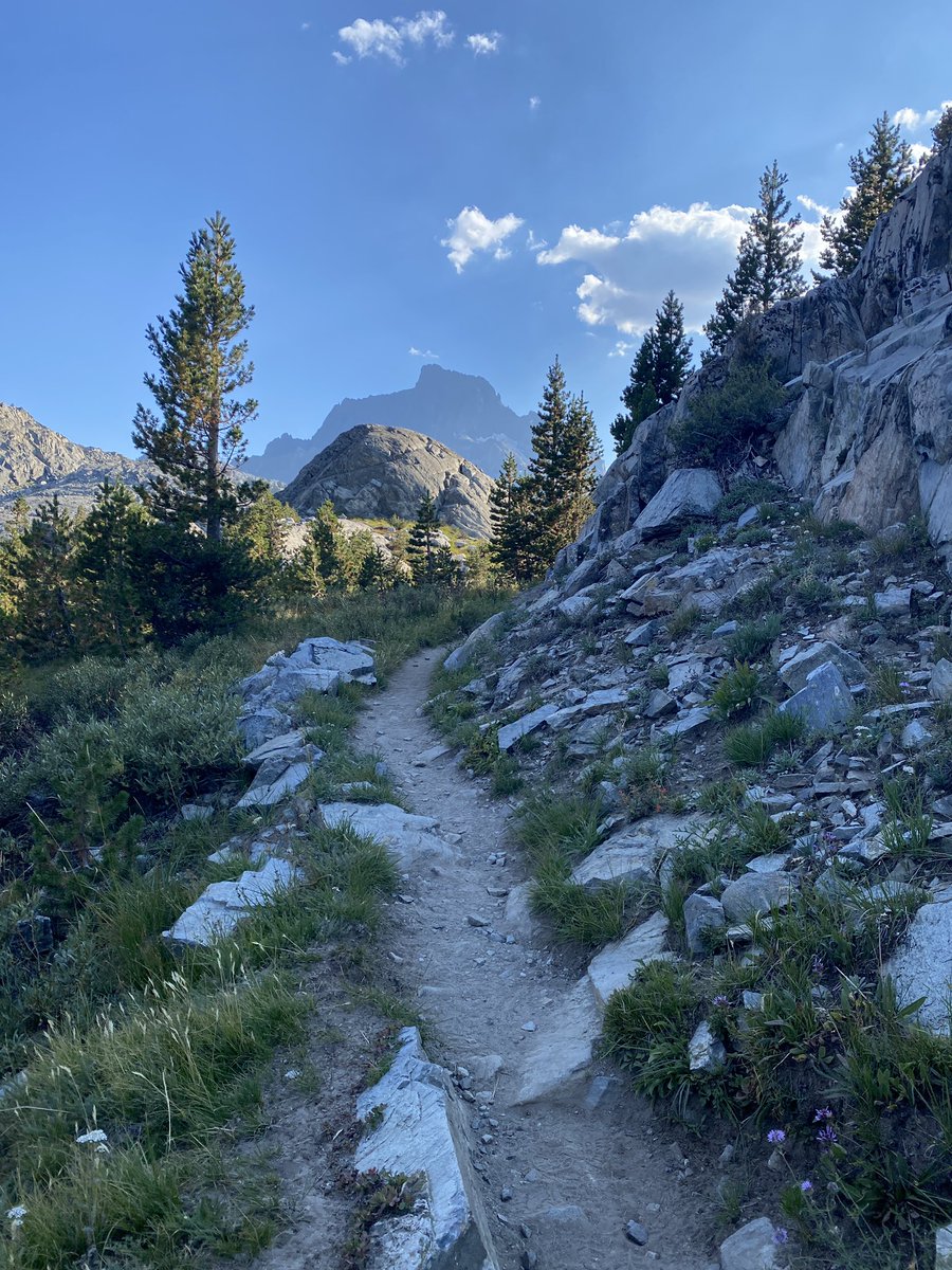 Scott Varley tweet media