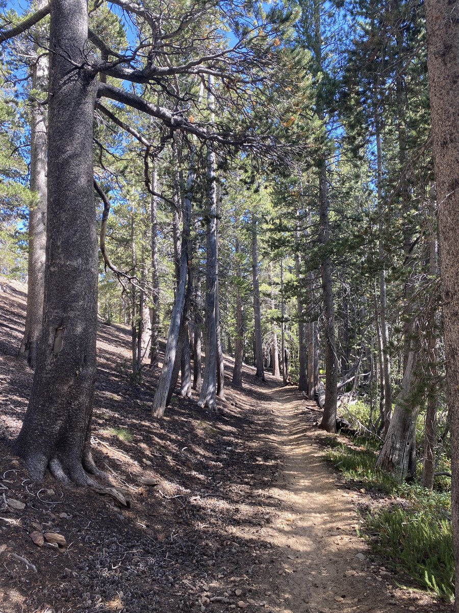 Scott Varley tweet media