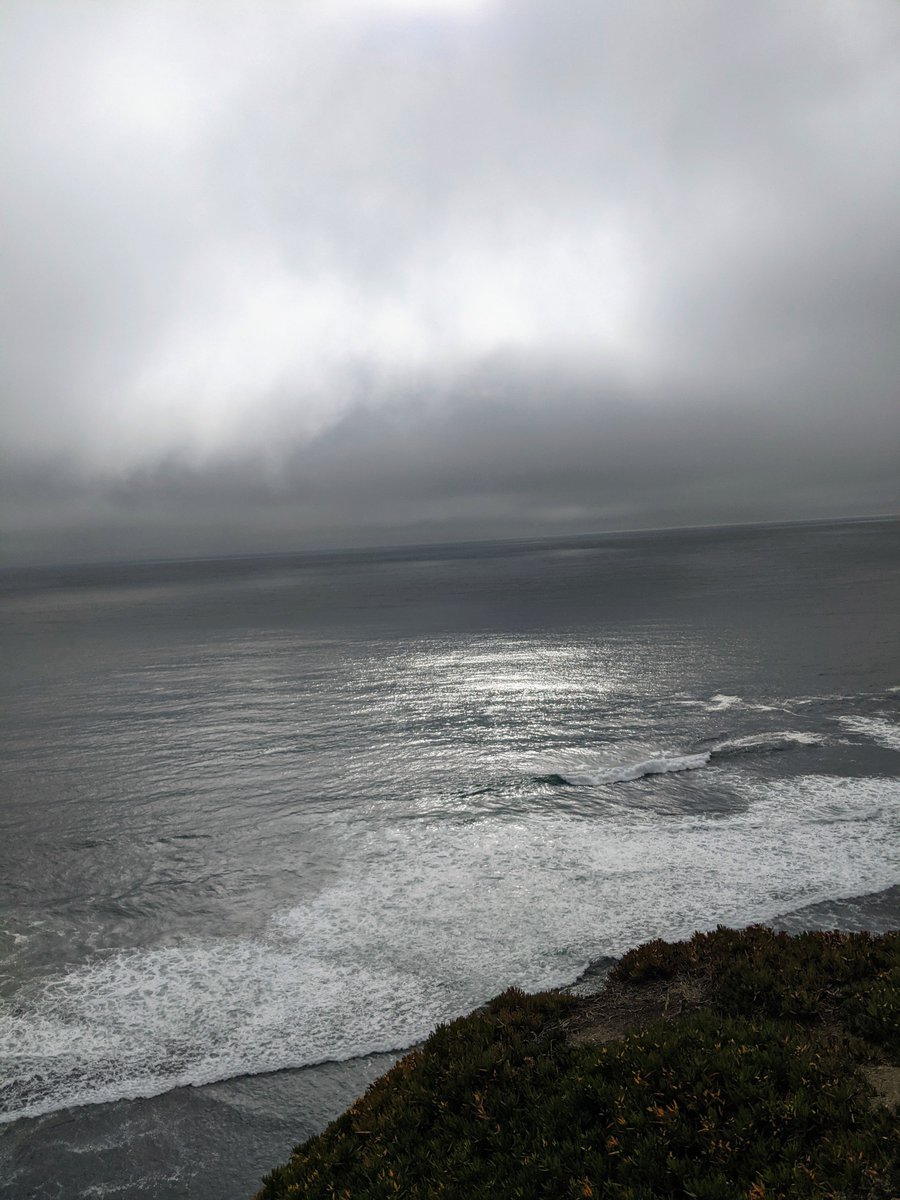 lotusfairies (@lotusfairies) on Twitter photo 