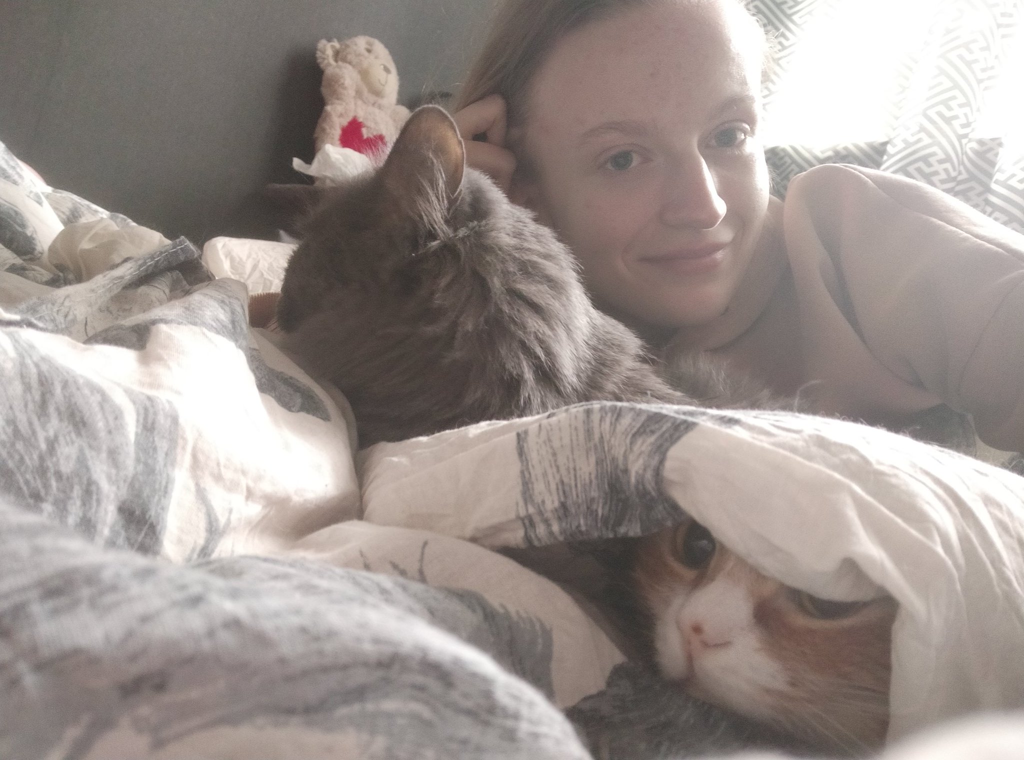 𝐂𝐡𝐞𝐧𝐤 𝐋𝐨𝐧𝐤🧊 on Twitter "juliaaarrgh https//t.co/wLEPVzwTST" / Twitter