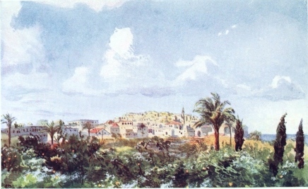 WomensArtForAll's tweet photo. Jaffa #thompson #elizabeththompson https://t.co/d44ABkrIvI https://t.co/6jjAbnktl6