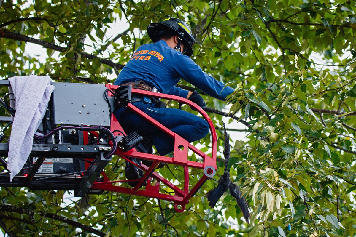 D.J.Sonsteng Photography tweet media