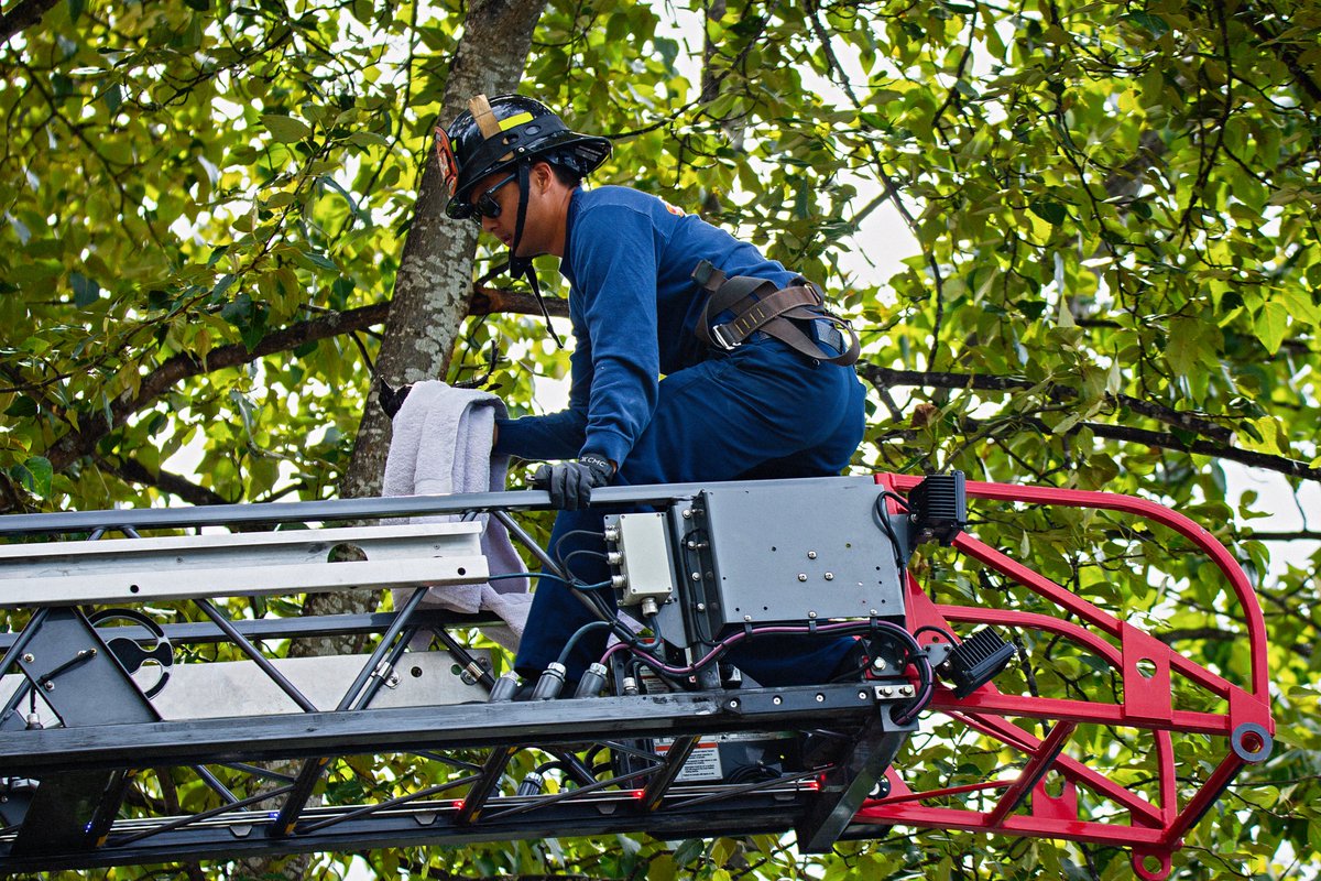 D.J.Sonsteng Photography tweet media