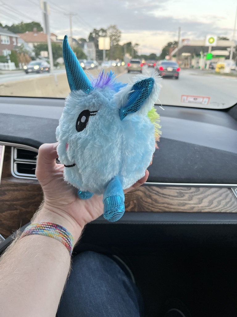 DaveLearnsToDad's tweet photo. Pretty sure the four year old won a Magdeburg Unicorn stuffie https://t.co/aMwL7rzngq