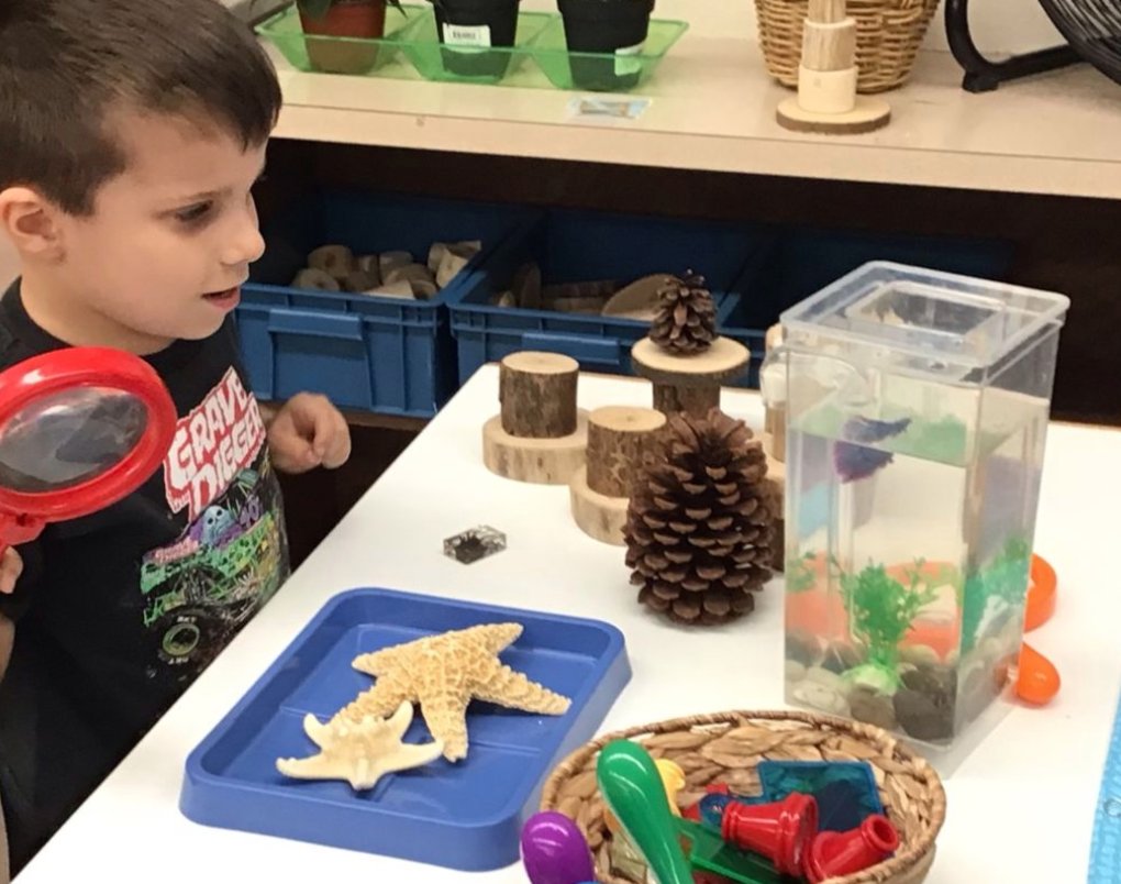 donnahaidle's tweet photo. First Day of Grove Preschool @IndianTrailDG58 
@DGDistrict58  #dg58pride https://t.co/gtRHnpAN3N