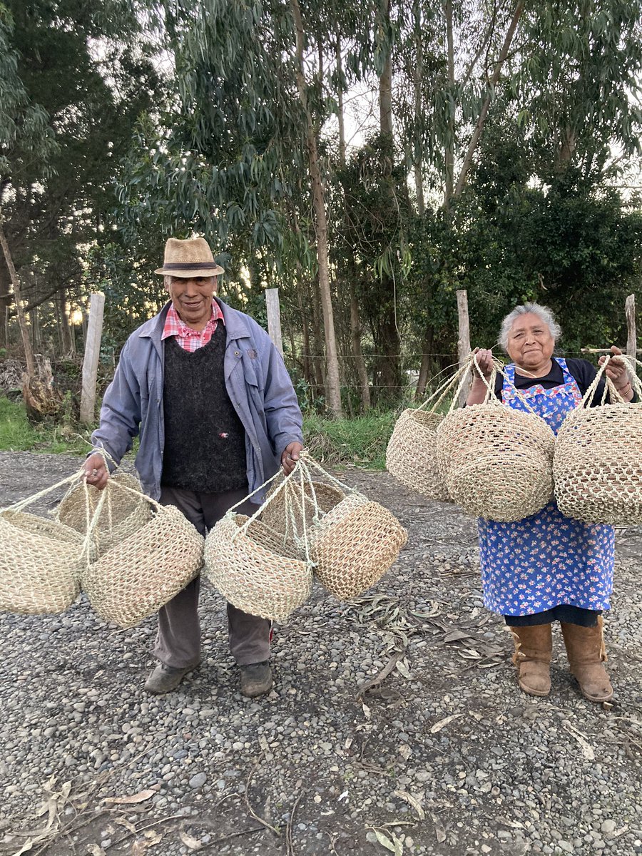 BudiMapu's tweet photo. Orgullosa de aportar por mi mapu , pedido listo 💚🌱papai Juanita 👏🏽👏🏽.
#bud
#arte
#mapuchelafkenche
#canastos
💯 🤚🏾 🤚🏾 y ecológicas 🌱🌱🌱🌱. https://t.co/RM7Bxq6K3B