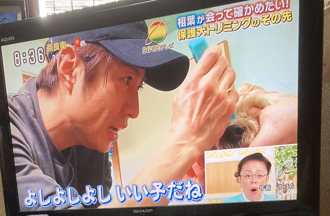 8 28 24時間テレビ45 相葉雅紀 会って自分の目で確かめたい 保護権トリミングのその先 まとめ 出演 相葉雅紀 嵐情報まとめ