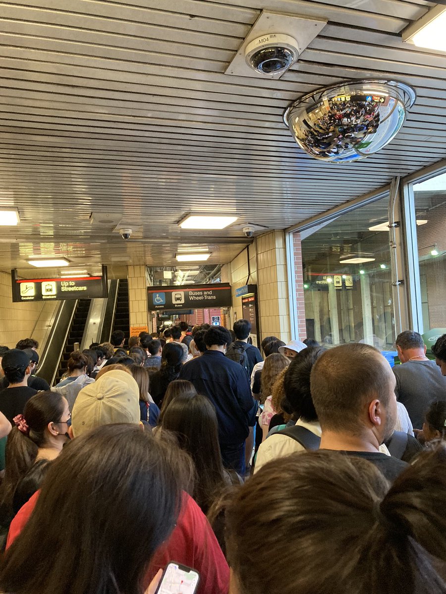 UUDRELiz's tweet photo. @TTChelps @Shockz Any resolutions yet? https://t.co/GAv1AgGio5