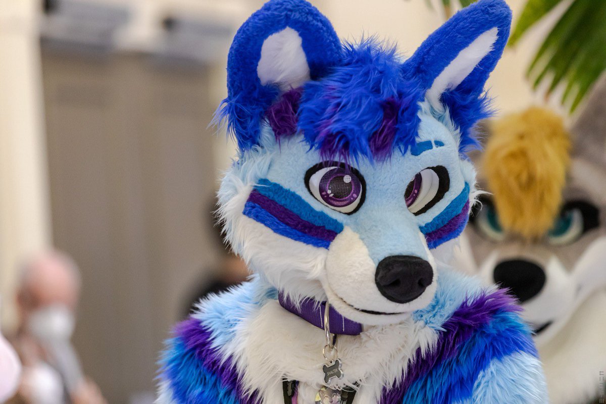 Shaltek 🩵 tweet media