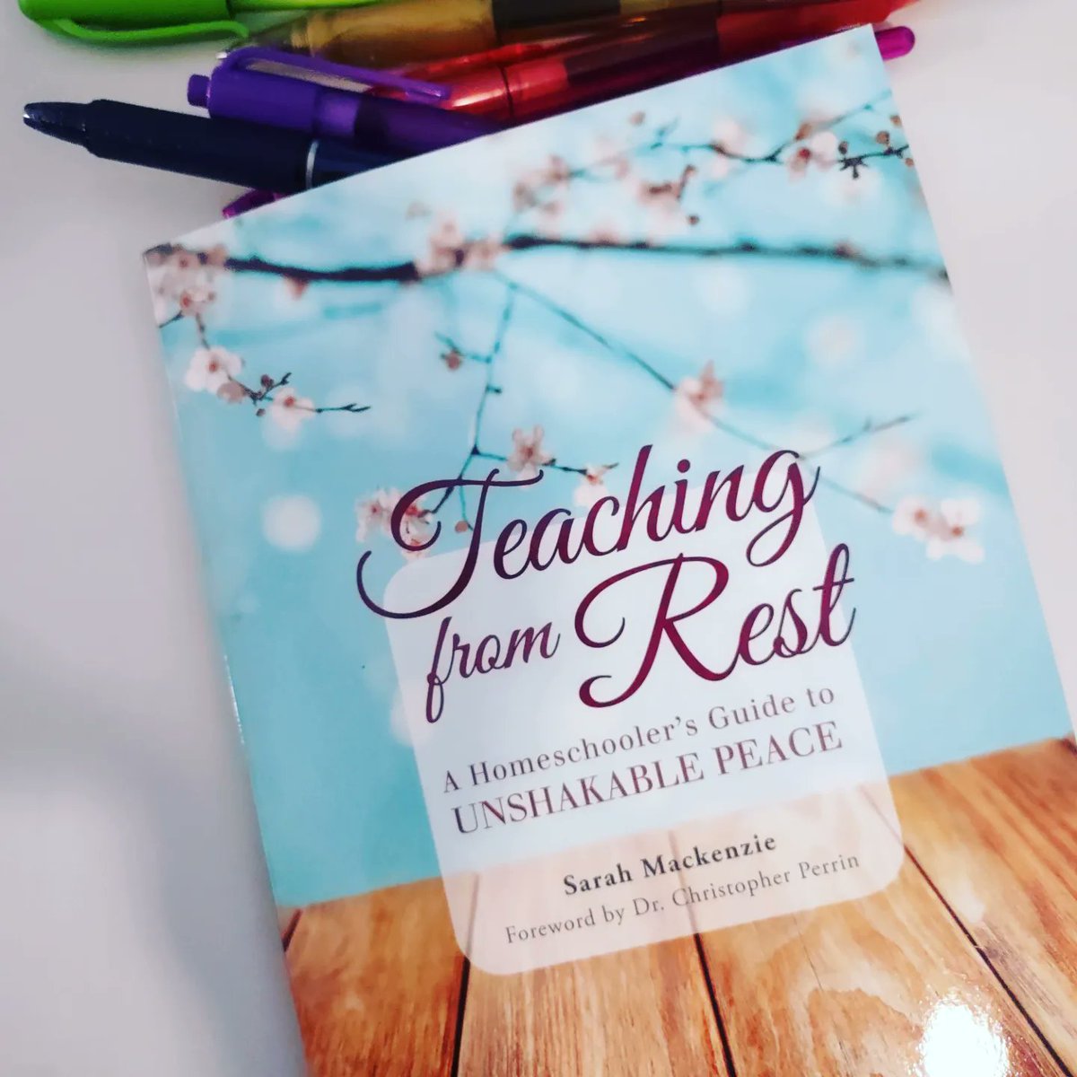 Such a powerful statement, not just for homeschooling, but for everything we choose to do in our life.