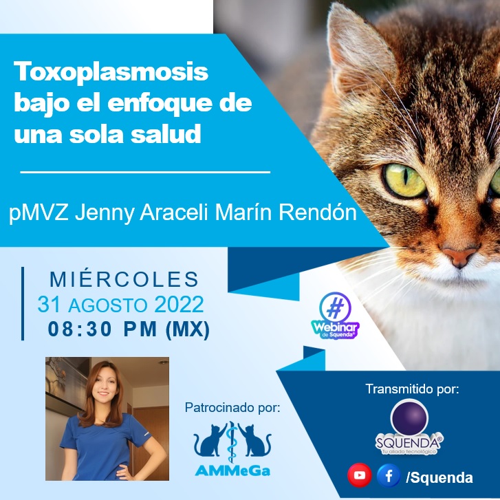 SQUENDA's tweet photo. 💻 El #Webinar de @Squenda Presenta
📃 Toxoplasmosis bajo el enfoque de una sola salud
🗣 pMVZ Jenny Araceli Marín Rendón
📆 miércoles 31 de Agosto 2022 8:30 pm
😉 Patrocinado por #AMMEGA
🎥 Transmitido por https://t.co/Nt8lCTv79U y https://t.co/tm6zDw38tm https://t.co/R6Q7ri2JFz