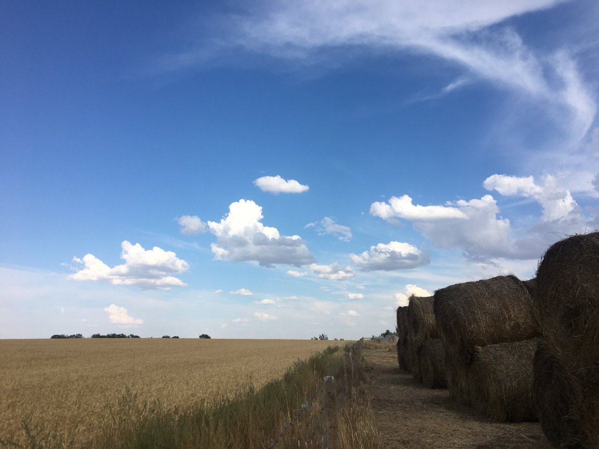 Au nord-ouest de Swift Current, Saskatchewan.