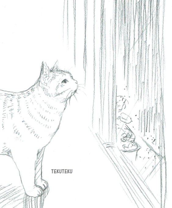 外は土砂降りだにゃ 