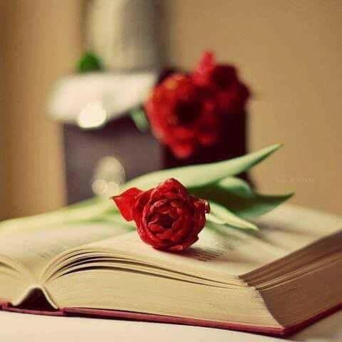قلم ينزف tweet media