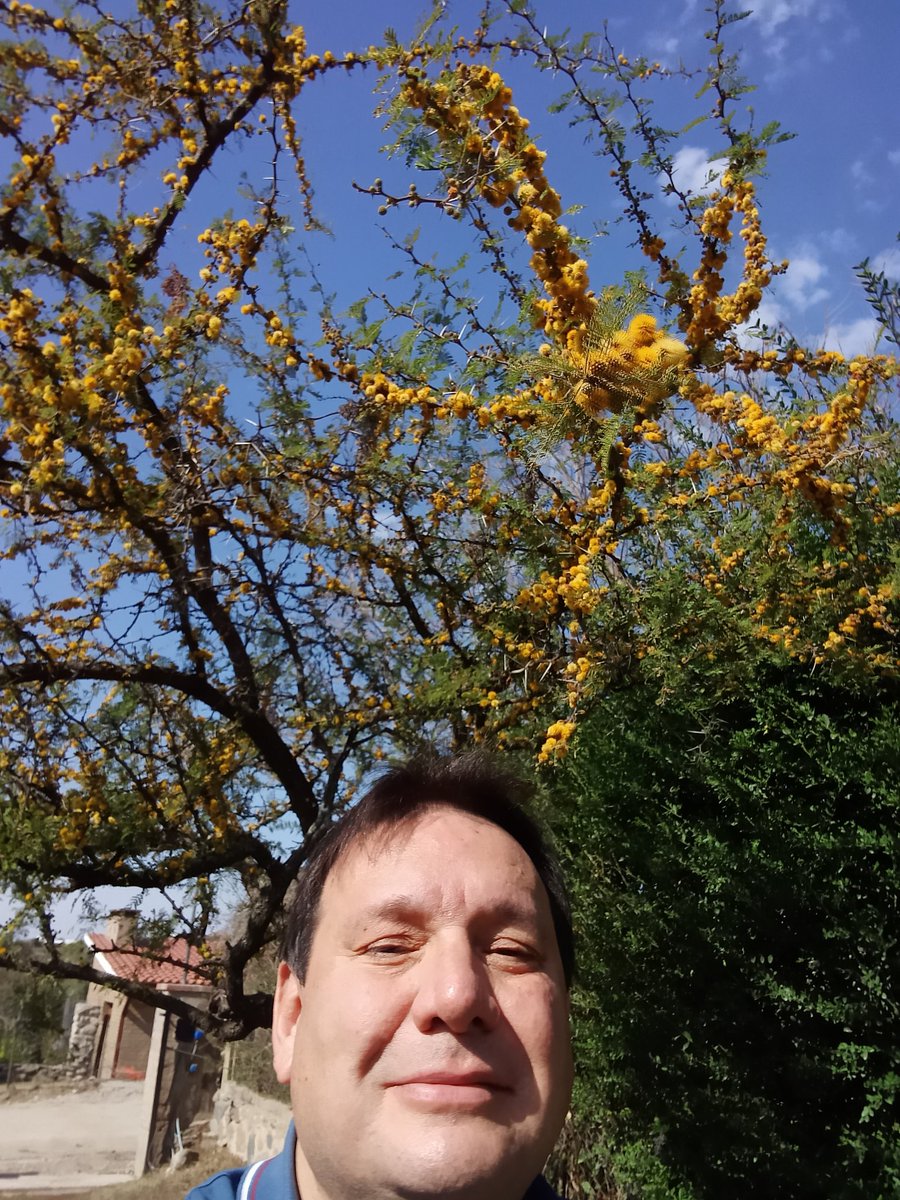 pastorinod's tweet photo. #Aromito #VillaLosAromos fin de agosto 2022 https://t.co/iGOzAn3IWh