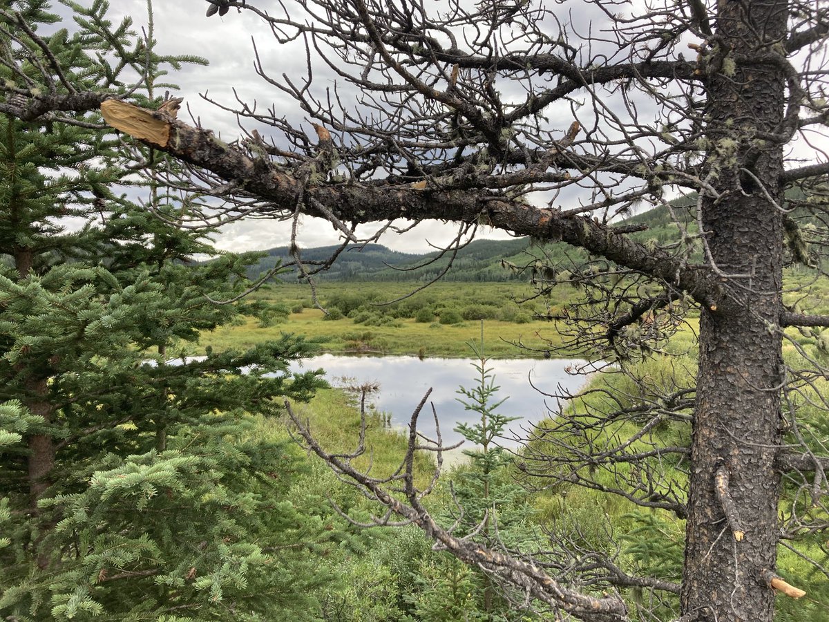 The weekend work bee ⁦<a href="/connectcharter/">Connect Charter</a>⁩ Field Experience Centre to get ready for fall camps was a success! Thank you to all the parents, students, staff and family members who came for your efforts and for some fun!