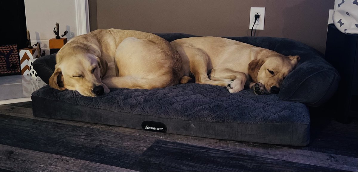 Hanging with my sister!  We love our weekends.