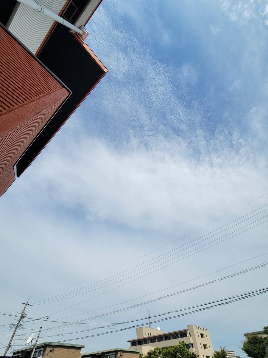 LaughtersCafe's tweet photo. 今日の #鈴鹿 は晴れ❗真夏の晴れとはちがって、すっきりとした秋晴れに近く、季節が進んでいるなと感じます😊

８がつ最後の日曜日🎵今日も１日頑張ります☀️

#企業公式が毎朝地元の天気を言い合う   
#ラフターズカフェ
#laughterscafe
#ドーナツ専門店
#ドーナツ https://t.co/hx01SMekyQ