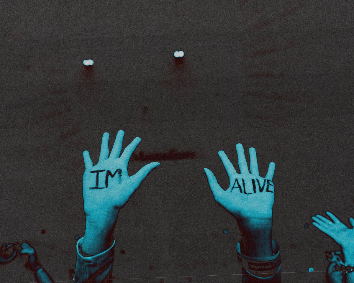twentyonepilots tweet picture