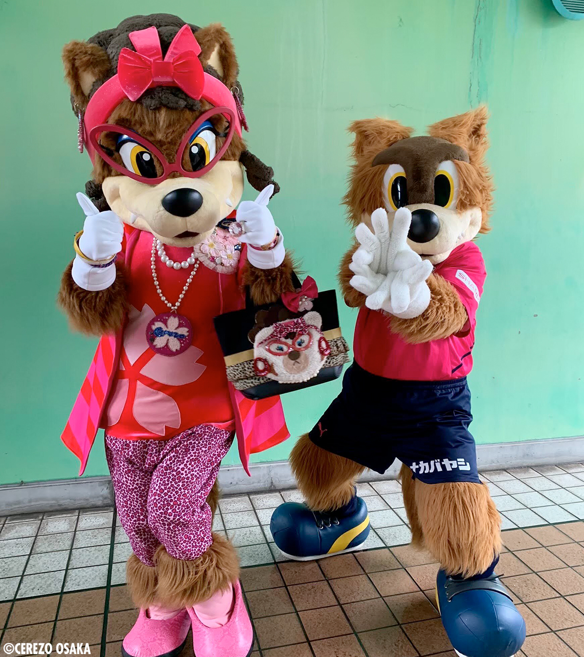 セレッソ大阪グッズ 公式 おはようございます 気づけば8月も終わり 夏バテなどしていませんか ロビーくんからパワーを送ります 今週も頑張りましょう セレッソ大阪 T Co Df7u6am1pg Twitter