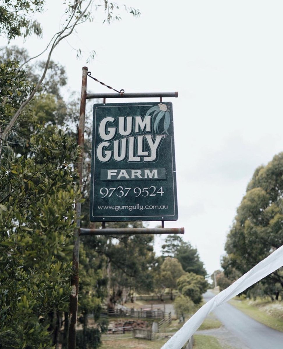 DuzaDriving's tweet photo. It’s been a busy week on the tools.  Early morning international arrivals and departures, weddings in the Dandenongs, a random text that lead to an all too brief catch up 25 years in the making. #melbourneairport #airporttransfers #gumgullyfarm #crownpromenade https://t.co/KyI3Gcenfr
