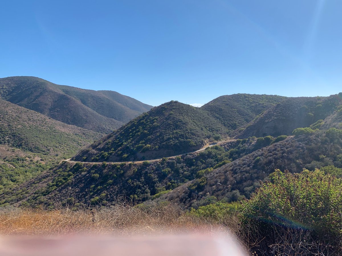 Jill Klein tweet media