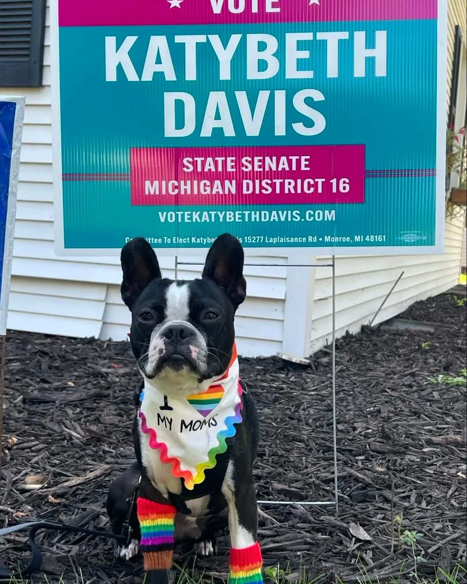 DavisKatybeth's tweet photo. 🌈 Had an amazing time at the Lenawee Pride Parade and Festival!!
#lenawee #pride #adrianmi #teampride #Michigan https://t.co/E7KZcEvqIu