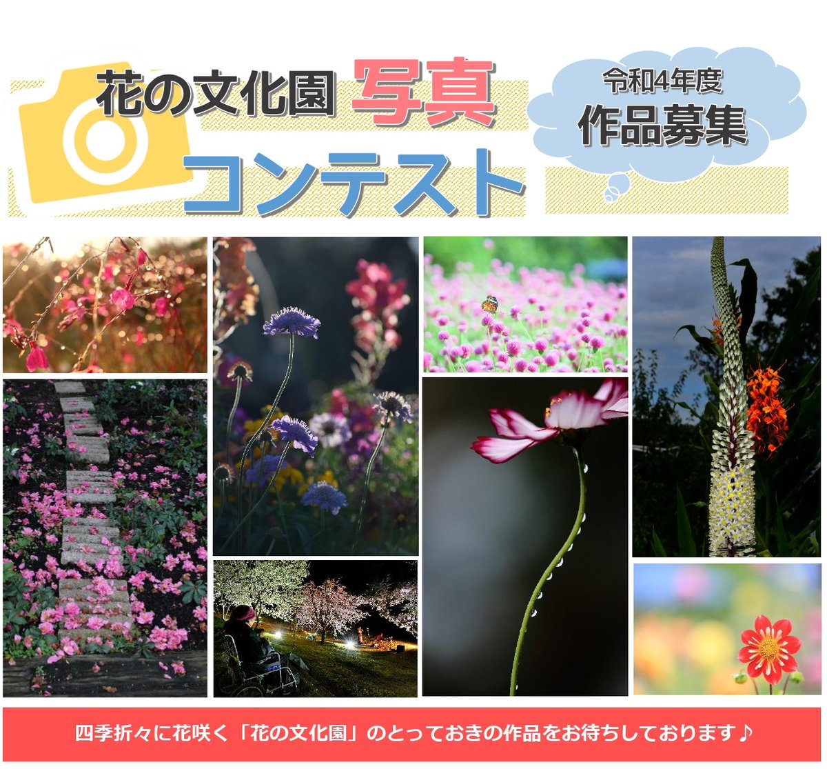 大阪府立花の文化園 植物園 公式 Gfc Osaka Twitter