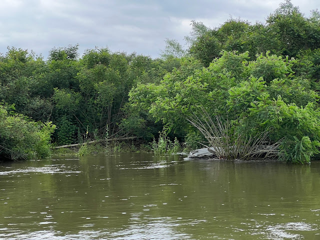 Susan Harbage Page tweet media