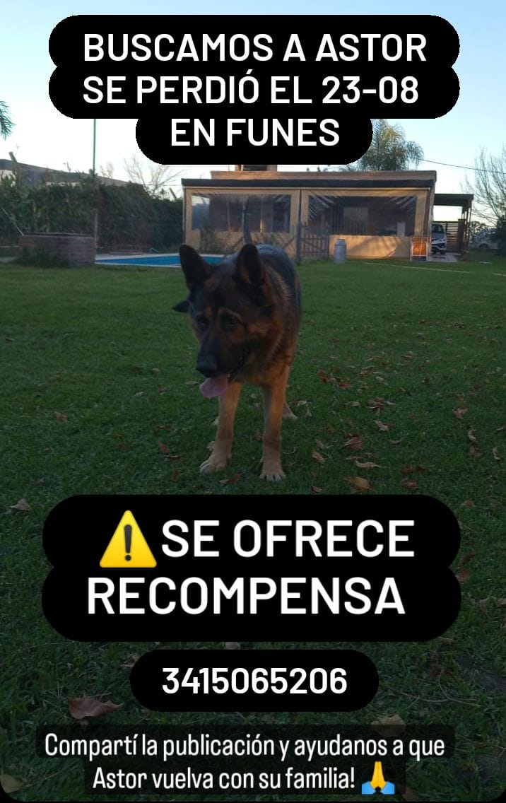 ayuda un rt no cuesta nada