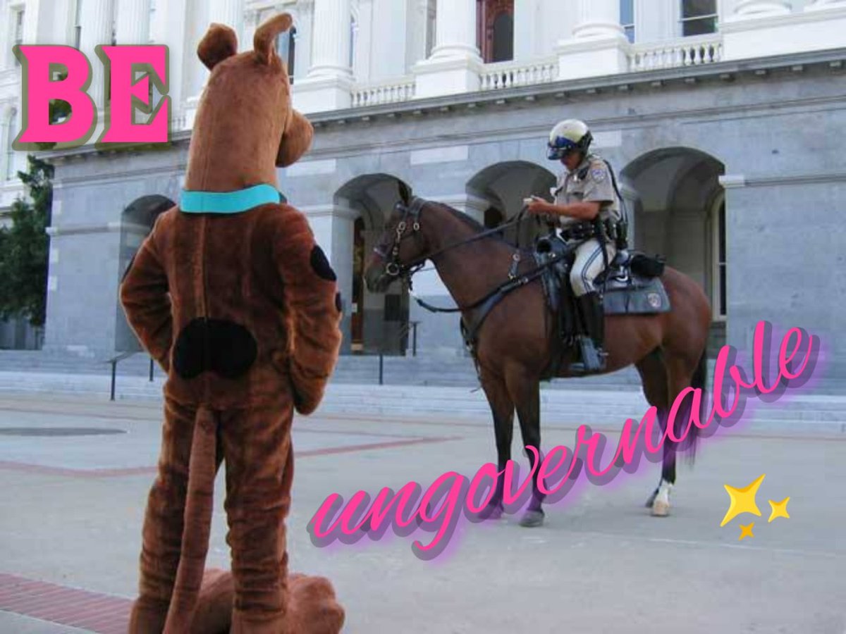 Scoobydude (@scoobyjim) on Twitter photo 