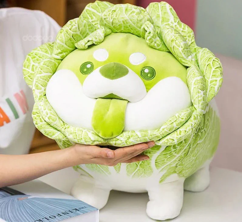 ぽん吉🌱おやさい妖精さん on X: 