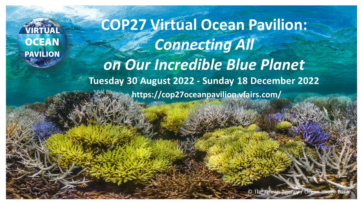 Global Ocean Forum tweet media