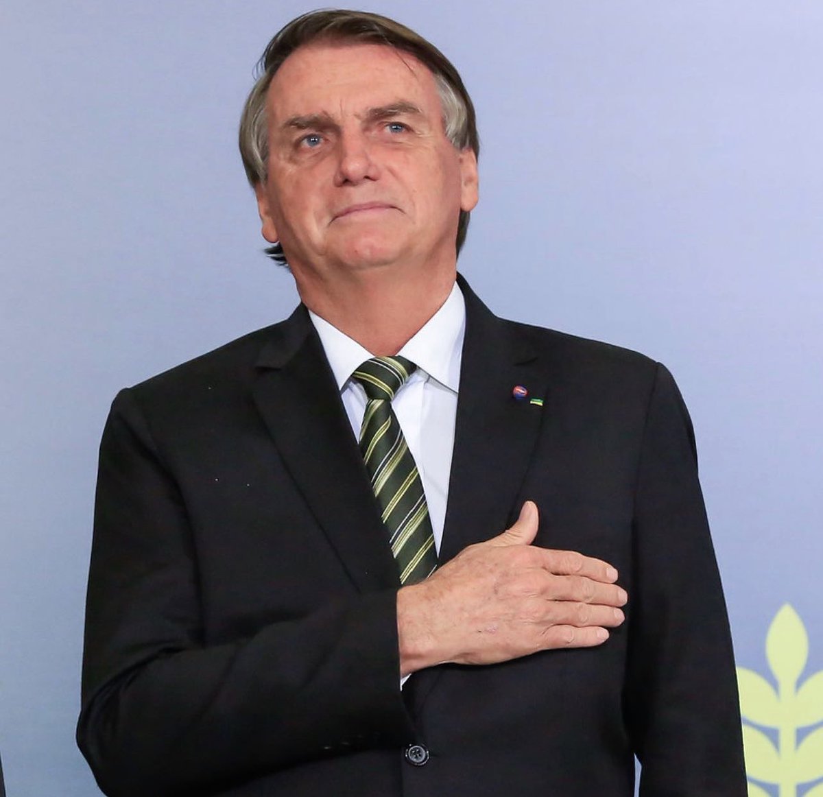 fabmatt's tweet photo. todas as vezes que o Bolsonaro demonstrou apoio à comunidade LGBTQIA+, mas a mídia não mostrou. A thread: https://t.co/alkt5Ehhu8