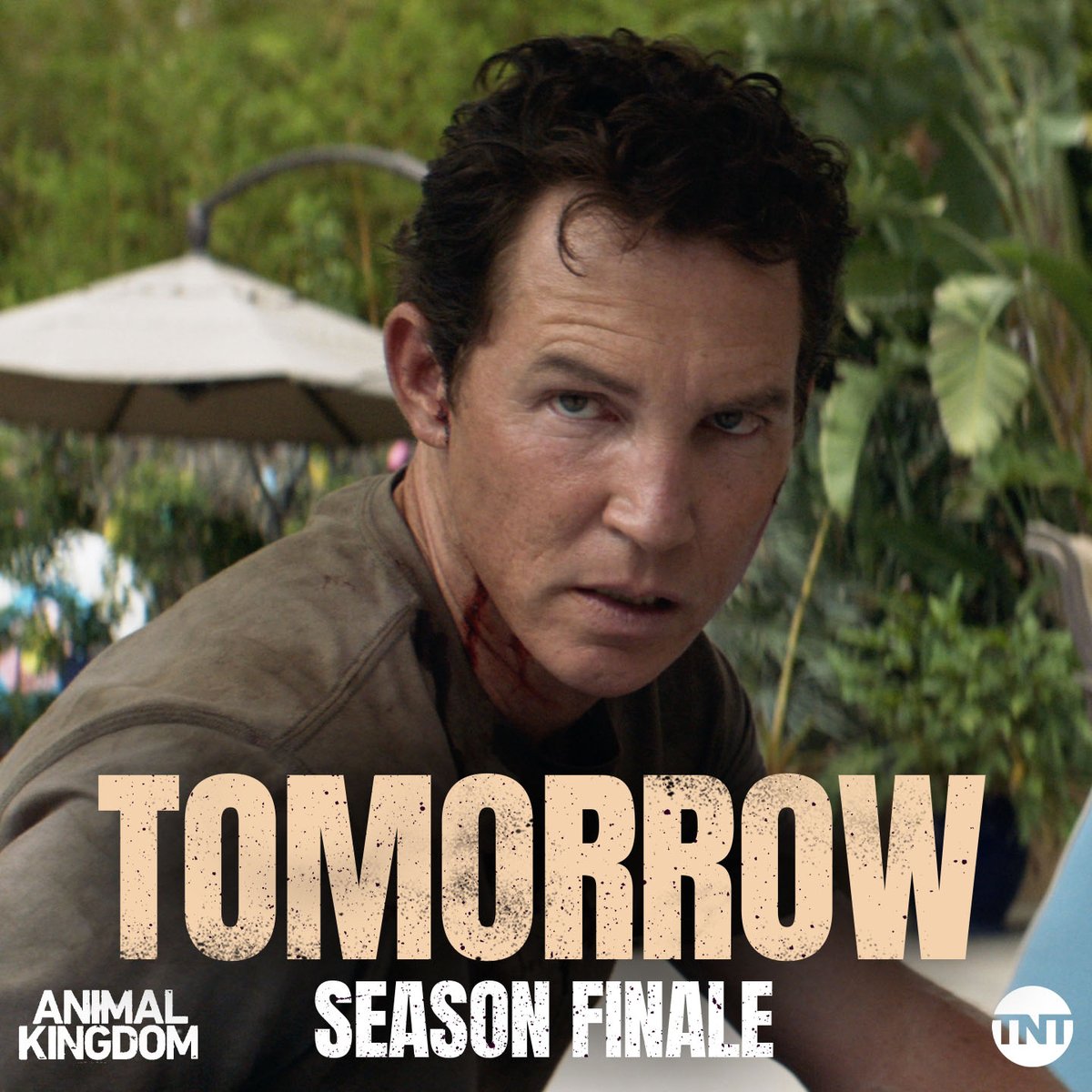 The 2️⃣4️⃣ hour countdown has officially begun. 🤯 #AnimalKingdom