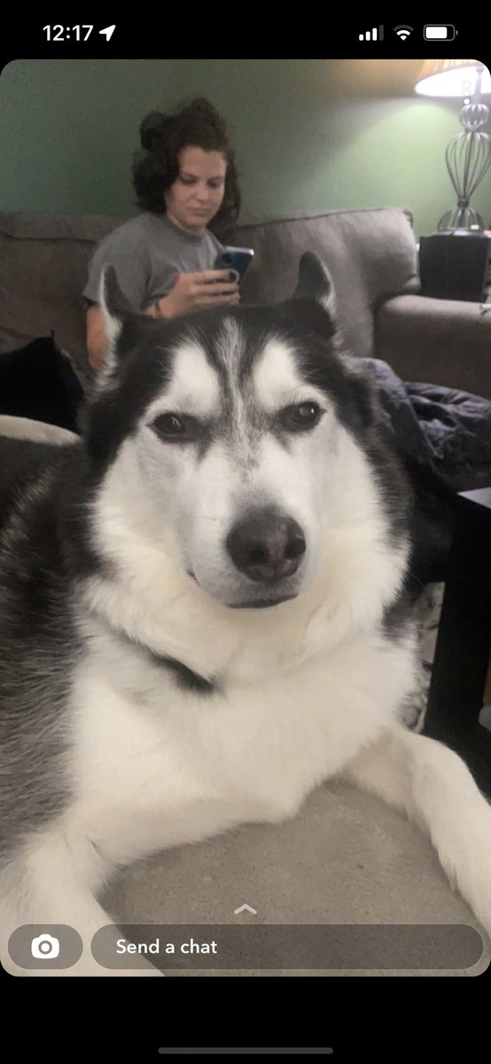 ShaneRoebuck32's tweet photo. Talking to some buddies that spend some time at my apartment on a regular basis our dog mako has his hair in Guam , Poland and Afghanistan…… https://t.co/epcWZgBYvC