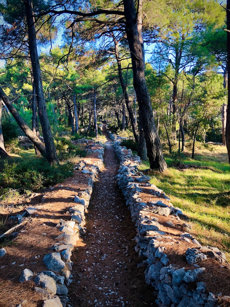 GoAskALocal's tweet photo. "In my home of Istria, time has a different meaning, wine a different flavor, the sun a sweeter kiss and the salt a sharper taste. Especially inland, away from the busy coastline, which remains a secret from mass tourism." 

Talk to Primož &amp; discover the best of Istria! https://t.co/DB6w98HsHN