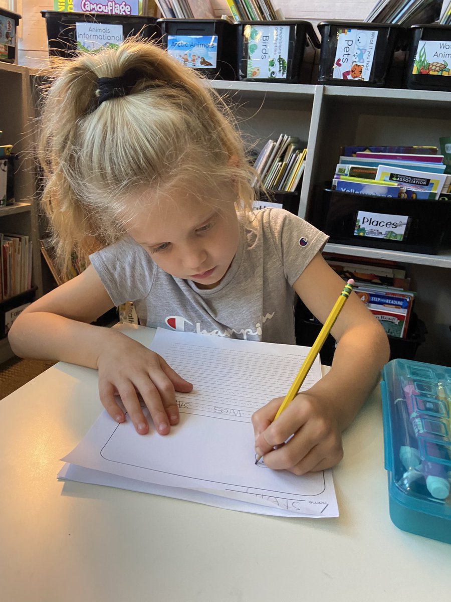 Toro's 1st Graders tweet media