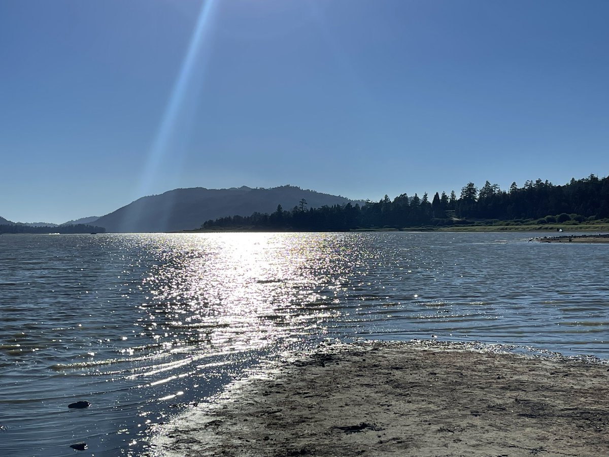 JasonD_086's tweet photo. Big Bear Lake CA. #pets #rhodesianridgeback #gaydogdad #mybaby #mypups #bigbearlakeca #bigbearlake #gay #boyfriends https://t.co/5Kw5JqmHo7