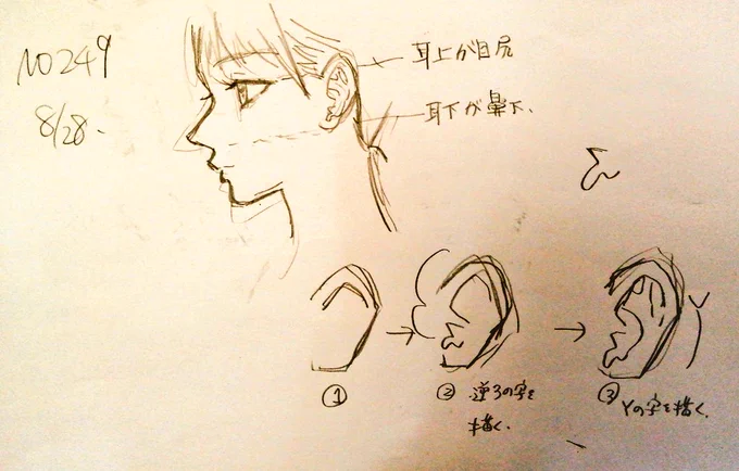 #一日一模写Ⅱ 249/365 