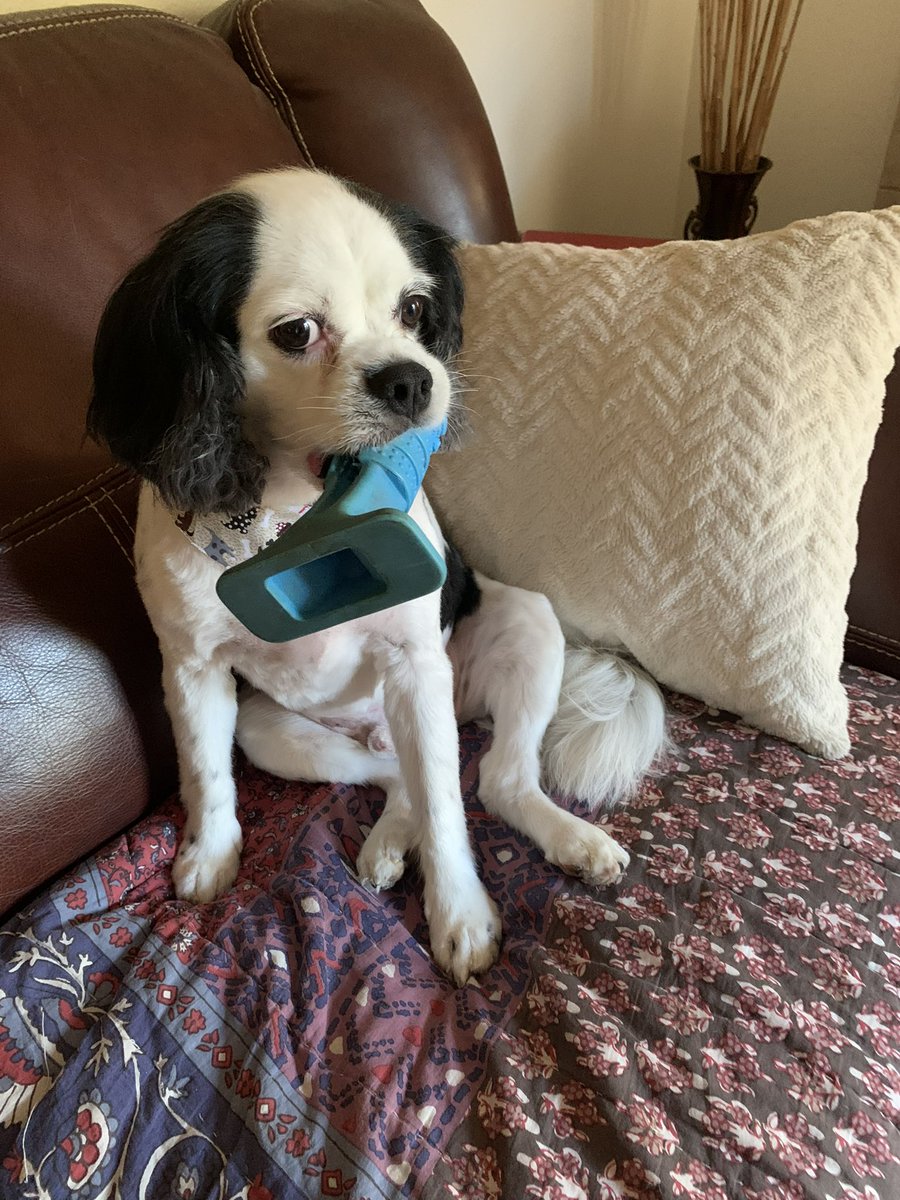 <a href="/Wardogs_NFT/">WARDOGS_NFT on $ETH & $ADA</a>