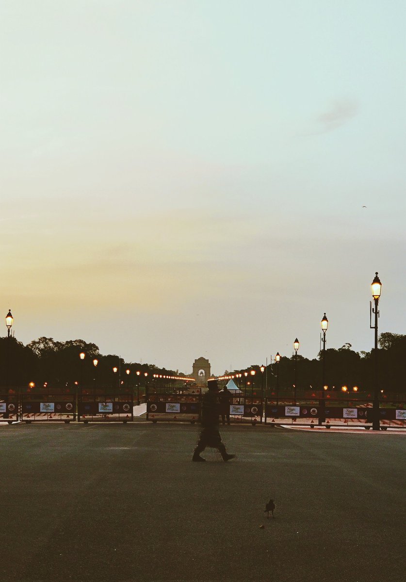 TangCamdir's tweet photo. Morning delhi is the best delhi ! 
@rashtrapatibhvn 

#delhi 
#rashtrapatibhawan https://t.co/AX75cDsl7M