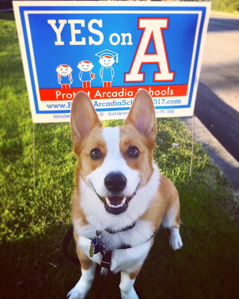ArcadiaUnified's tweet photo. It was #NationalDogDay 🐶 this week! Post a pic of your favorite pup 🐕 in the comments below! These are a few of our favs! 🥰
#petsofausd https://t.co/kShcwCNvB7