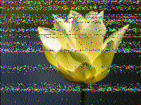 dmoisan's tweet photo. A few images from Friday morning, Shortwave Radiogram via WRMI, 15770, 1300 UT 26 August, as heard in Salem, Mass., US. #swradiogram #hfzone @swradiogram https://t.co/B0BdOCUjY5