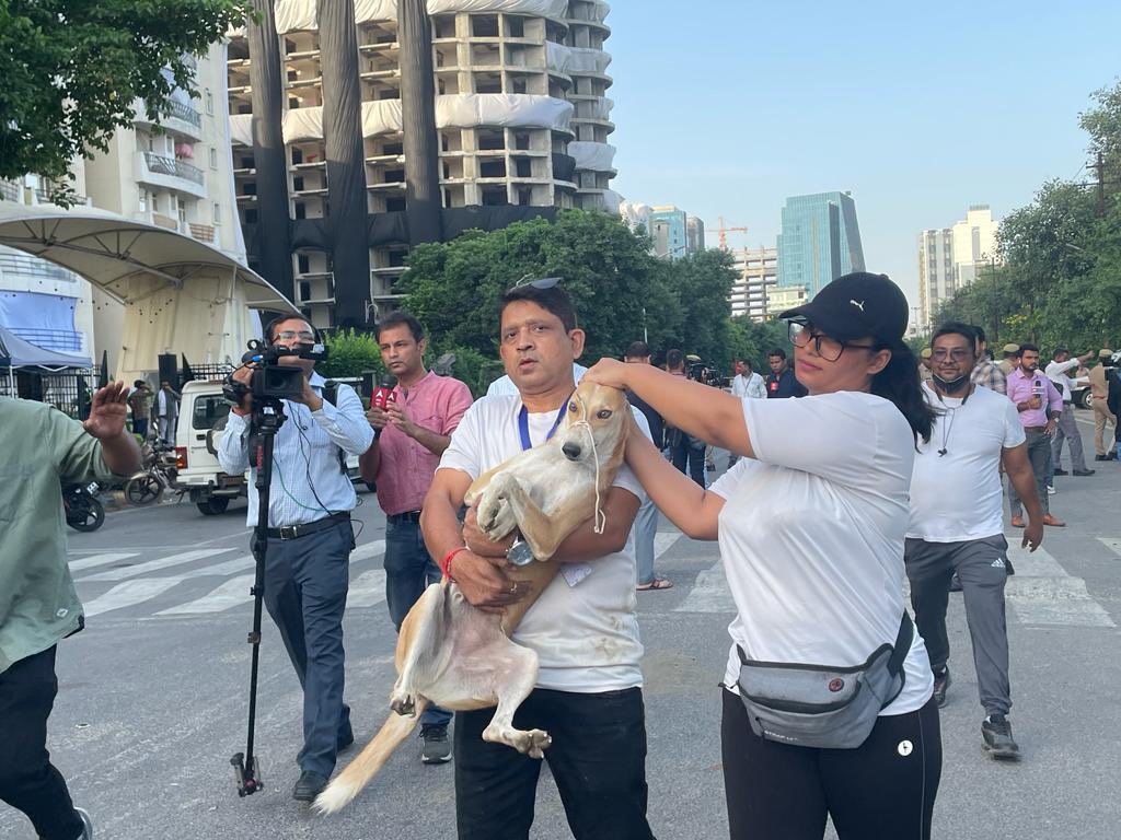 deepikarathour3's tweet photo. Hoomans at work. Rescuing dogs and other animals from the twin towers demolition site, Noida. 

#TwinTowers #NoidaTowerDemolition https://t.co/B8rkJpGlMA