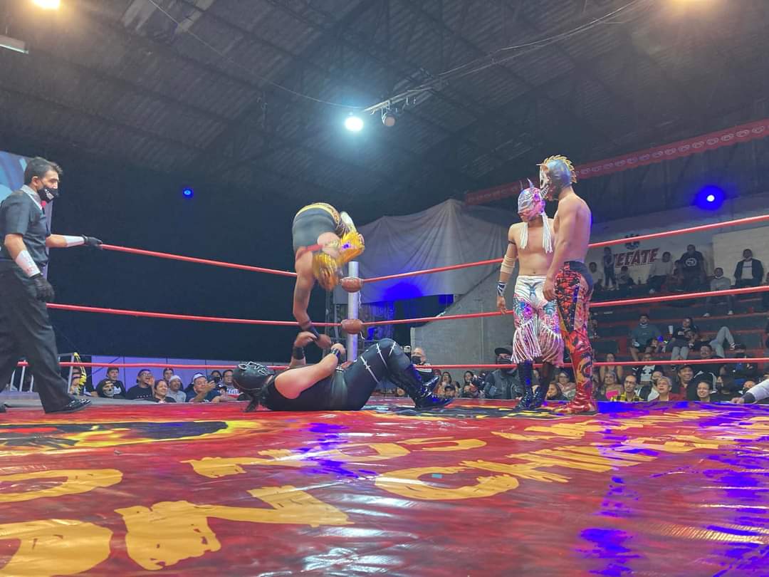 LaTijeraLucha's tweet photo. Batalla premiada con dinero en la que #Moviluz, #GoldenJr y #ArkangelDeOro se llevan la victoria ante #DemonioGato, #MomiaGemelaI y #MomiaGemelaII en una batalla en la que una de las momias no pudo continuar debido a un fuerte golpe , una lucha que encendió #ArenaLopezMateos... https://t.co/KxeDmdOwky