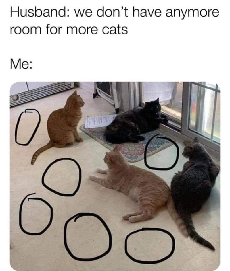 WholesomeMeme's tweet photo. https://t.co/s7eQ1M7r2Z