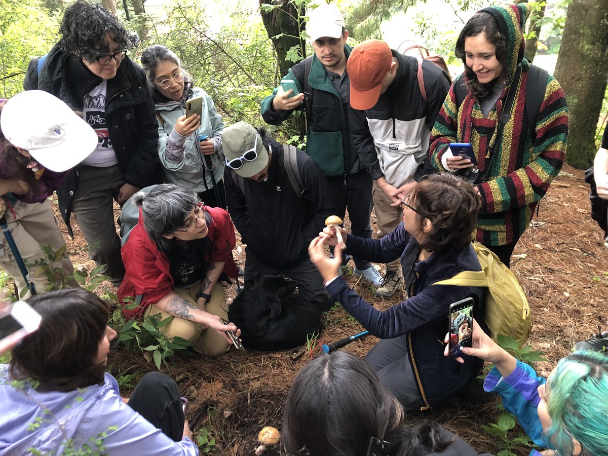 R. Pacheco tweet media