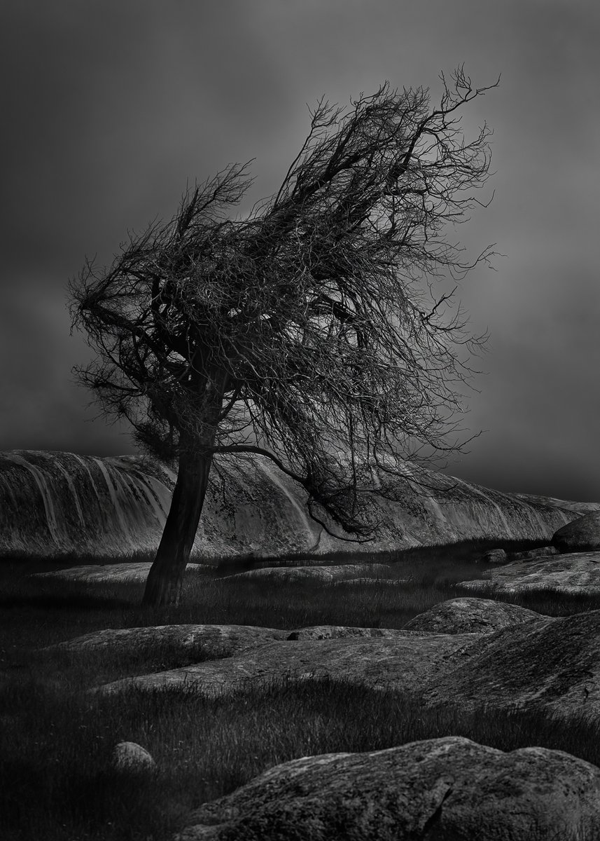 CameraHouse's tweet photo. π· Kevin Robley
#finalist Camera House Photo Friday #trees
Be sure to click the link in our bio and enter our Photo Friday Competition for your chance to win a $200 Camera House gift card.
#photography #camerahouse #chphotofriday #photooftheday #daily #picoftheday #photo https://t.co/7tyhnKG2mb